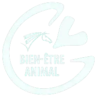 bien-être animal - blanc