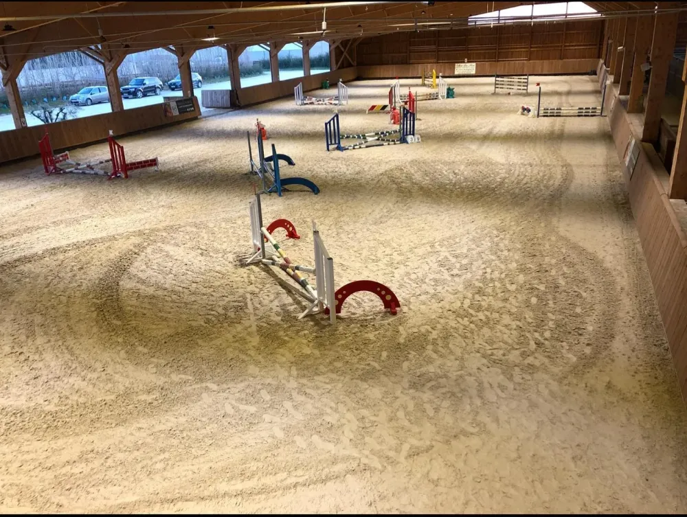 compétition poney et chevauxwebp