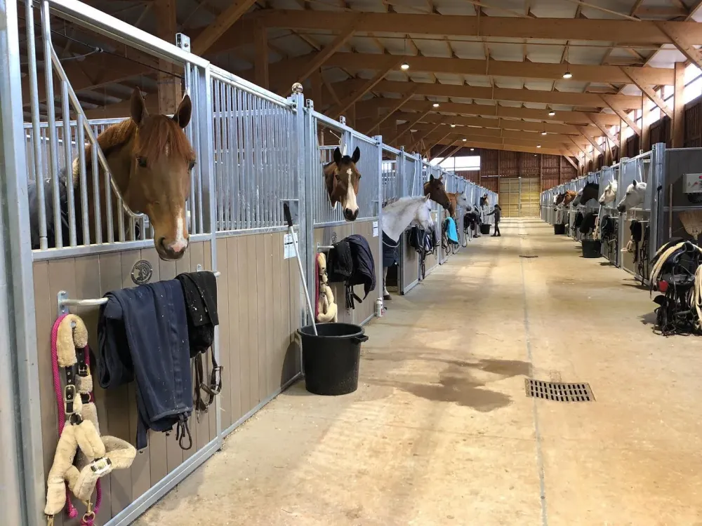 Pension pour cheval près de Salon-de-Provence