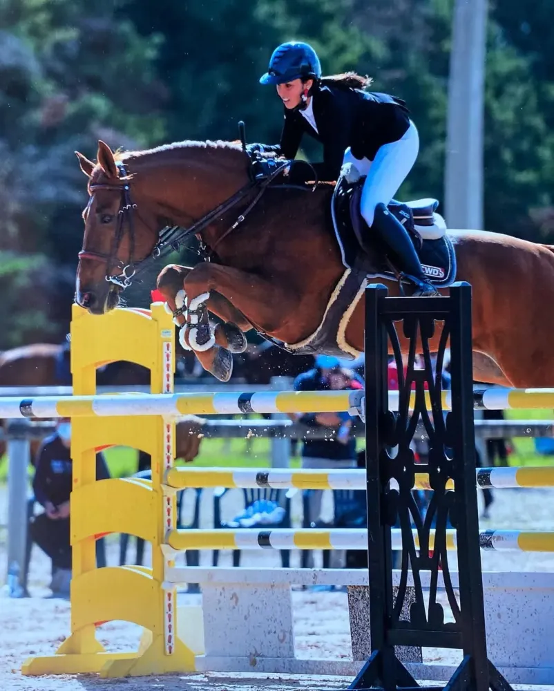 Compétition équestre près de Salon-de-Provence