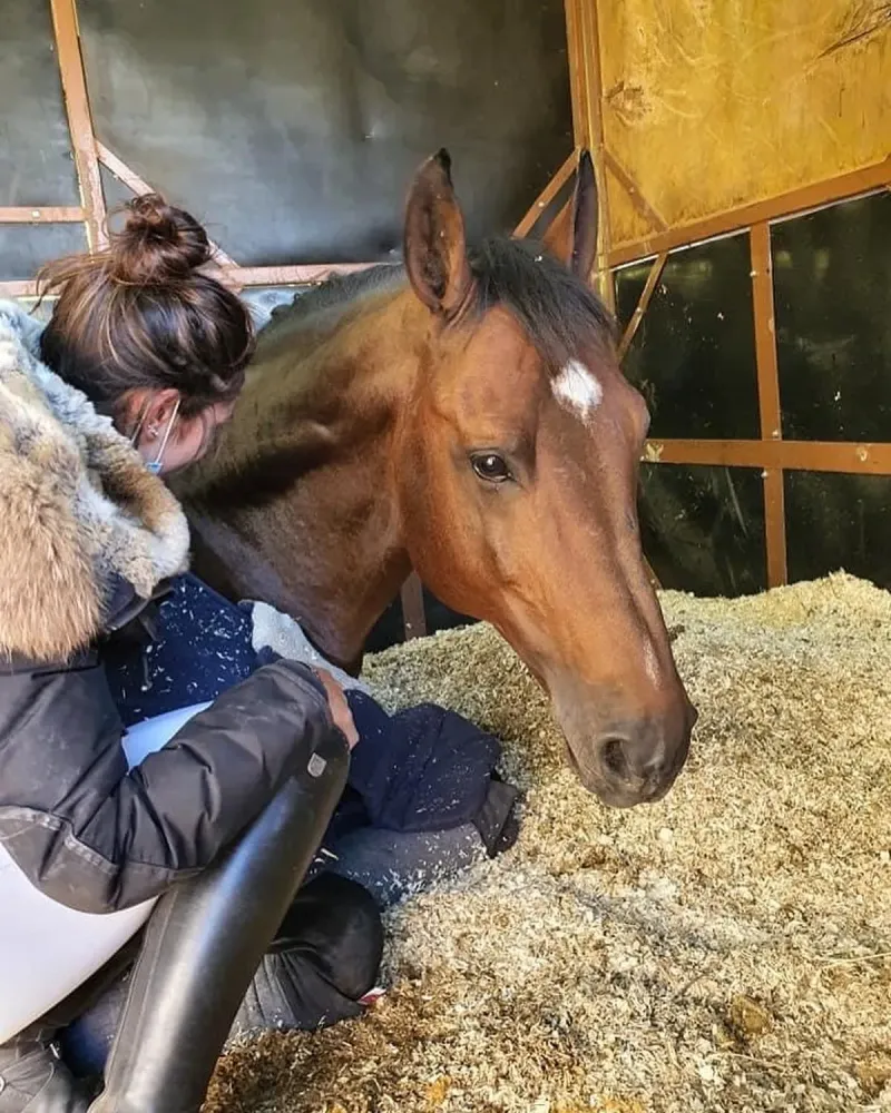 Demi-pension poney près de Salon-de-Provence