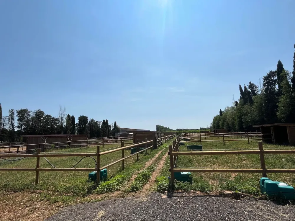 WhatsApp Image 2025-09-30 at 17.55.34