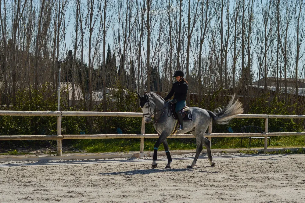 Centre équestre à Saint-Martin-de-Crau (41webp