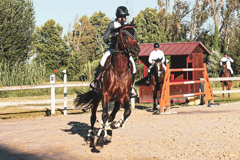 Centre équestre à Saint-Martin-de-Crau (85webp