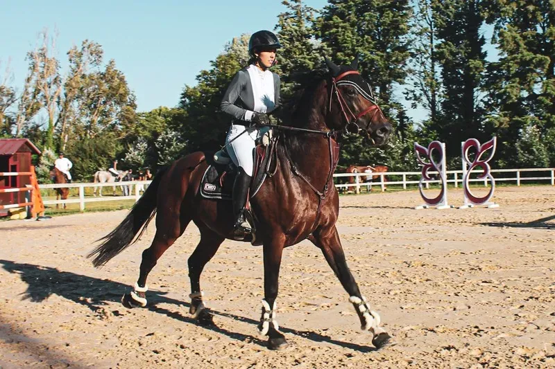 Centre équestre à Saint-Martin-de-Crau (86webp
