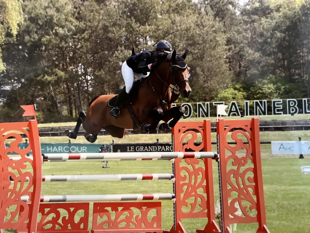 Centre équestre à Saint-Martin-de-Crau (19webp