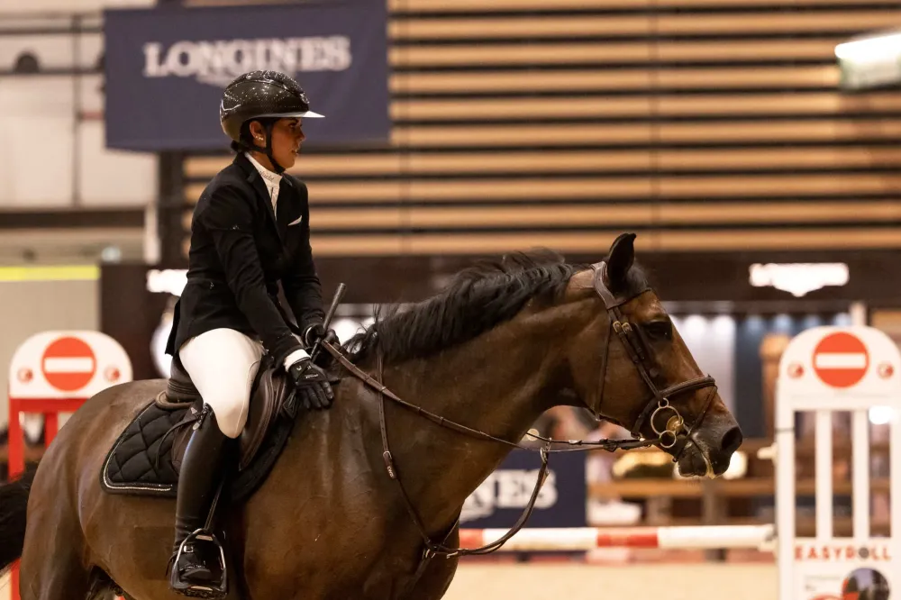 Centre équestre à Saint-Martin-de-Crau (50webp