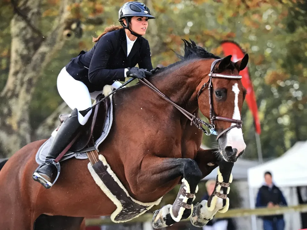 Centre équestre à Saint-Martin-de-Crau (52webp