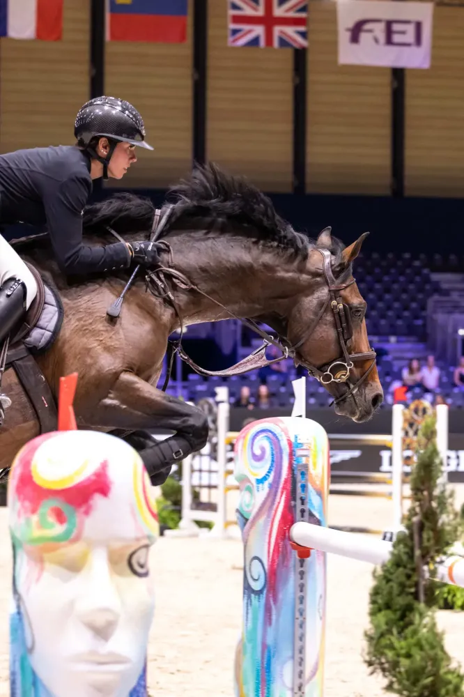 Centre équestre à Saint-Martin-de-Crau (55webp