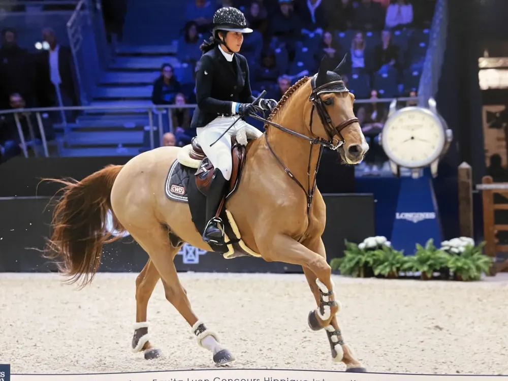 Centre équestre à Saint-Martin-de-Crau (57webp