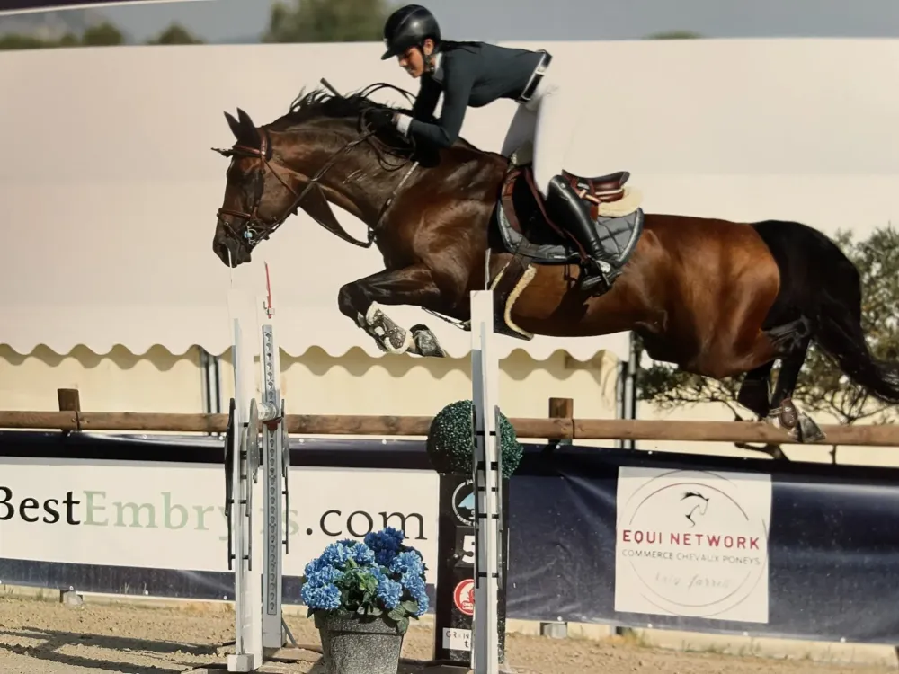 Centre équestre à Saint-Martin-de-Crau (64webp