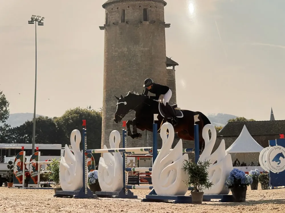 Centre équestre à Saint-Martin-de-Crau (67webp
