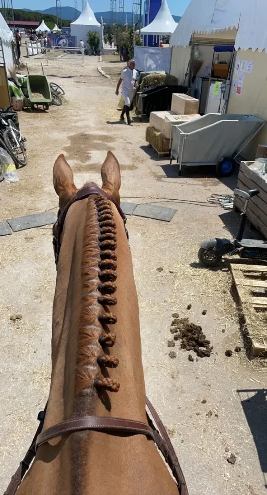 Centre équestre à Saint-Martin-de-Crau (26webp