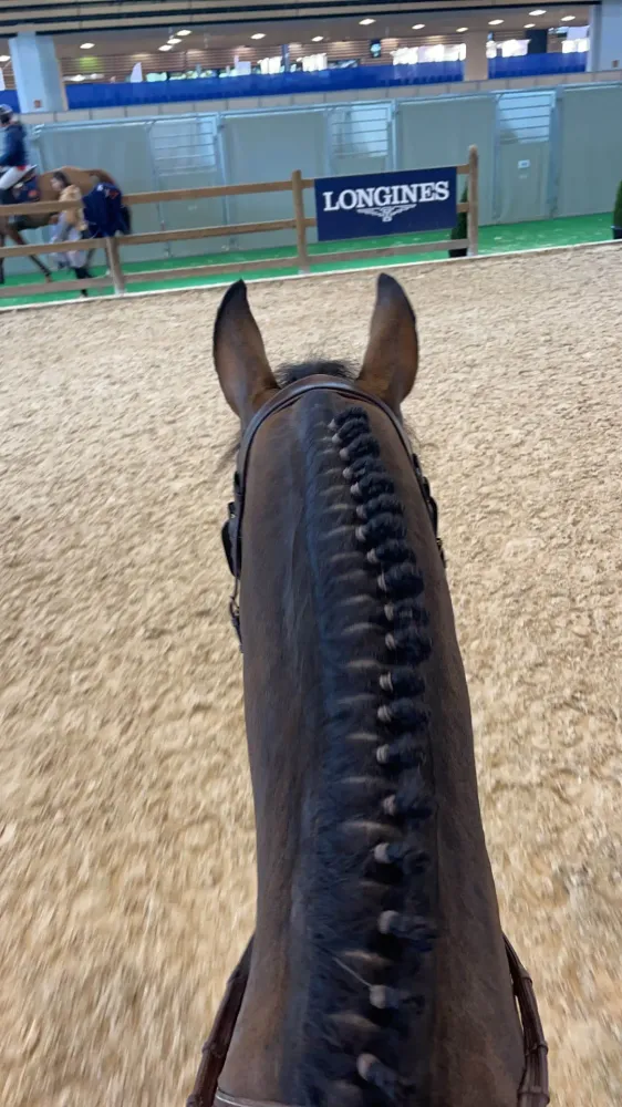 Centre équestre à Saint-Martin-de-Crau (81webp